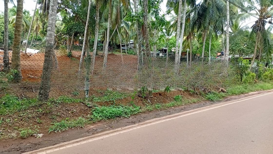 කදාන නගරයට සමීපව අගනා බිම් කොටස් - බටගම දොලහේන පාර
