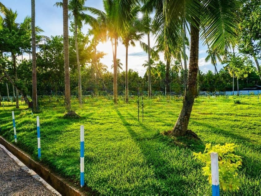 Valuable Land for Sale in Mellawagedara