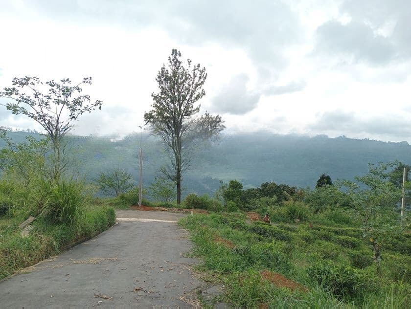 Valuable land for sale Nuwara Eliya Road