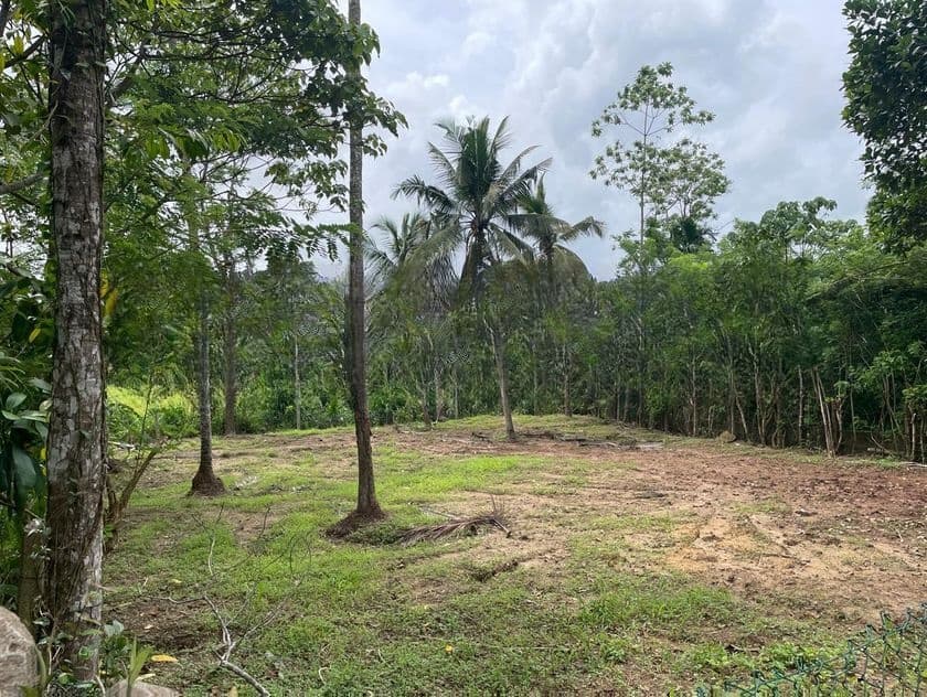 Bare Land for Sale in Samagi Mawatha, Talawathugoda