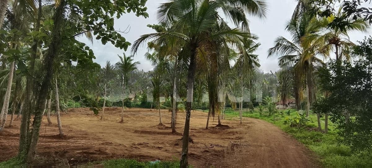 katana Land For sale