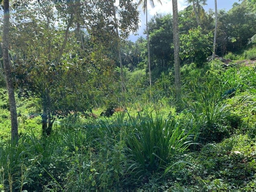 Land for Sale Gelioya