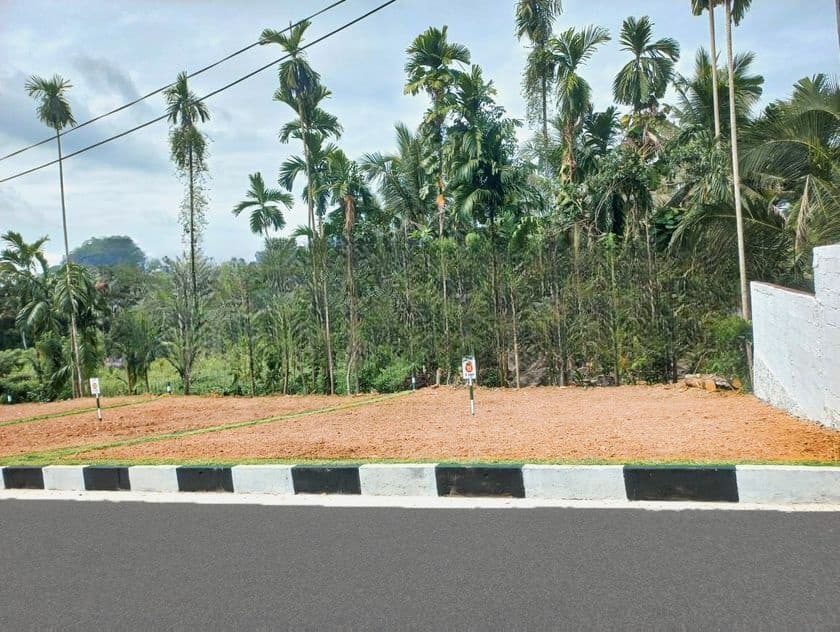 Best Luxury Land for Sale in Watareka