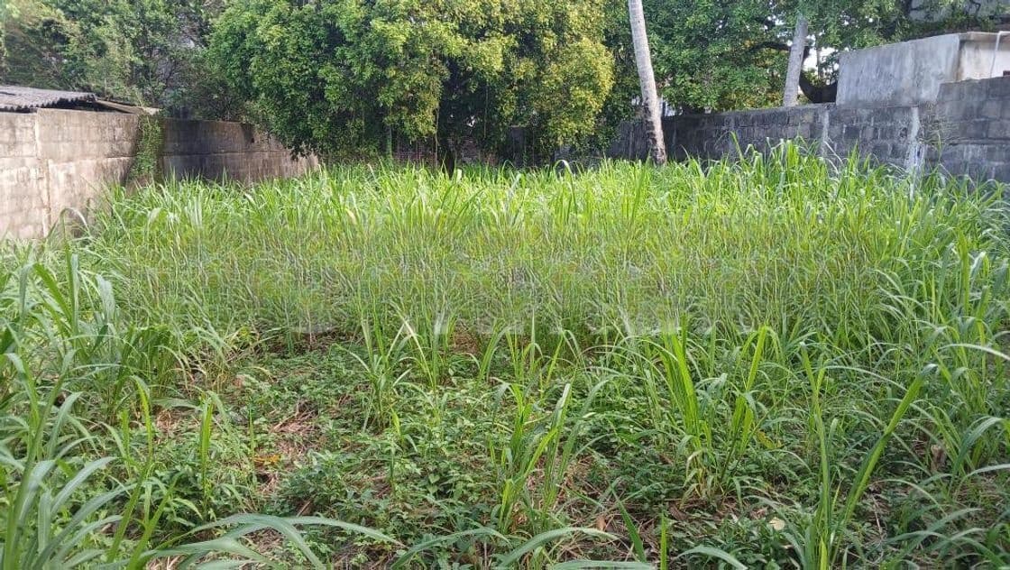 Land for Sale in Makuluduwa Road Samagi Mawatha Bokundara