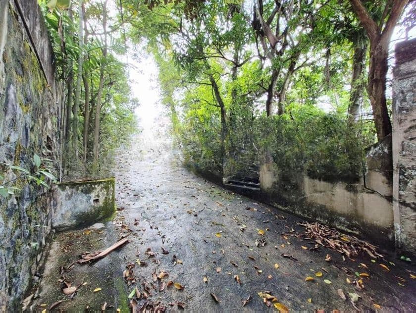 36.80P Commercial Land for Sale in Nawala