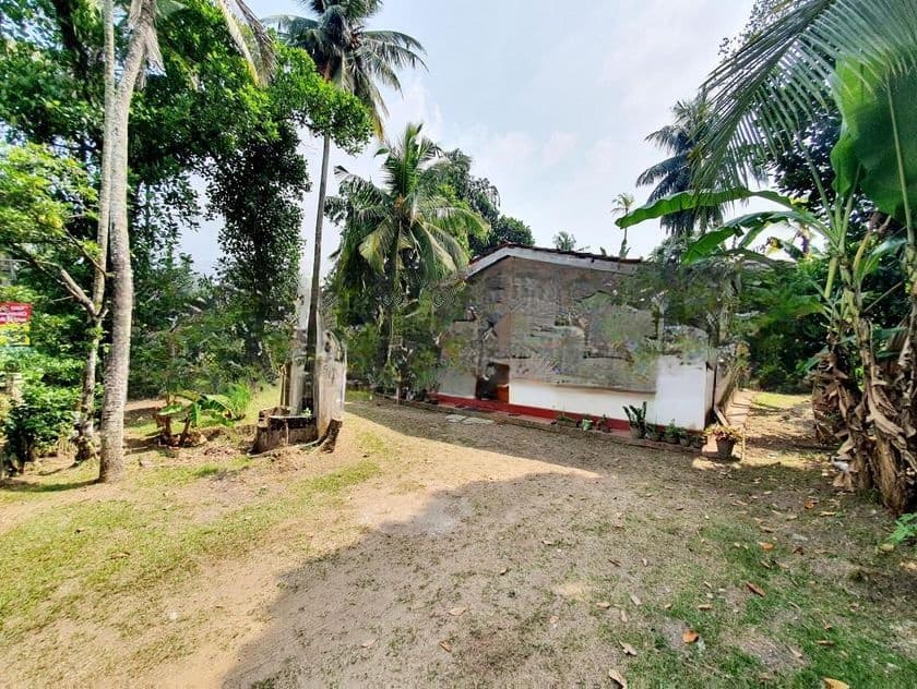 Commercial Land for Sale in Kottawa