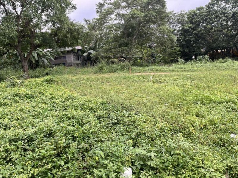 10P Pelawatta Land - Few Minutes Walk to Overseas School, Key Towns