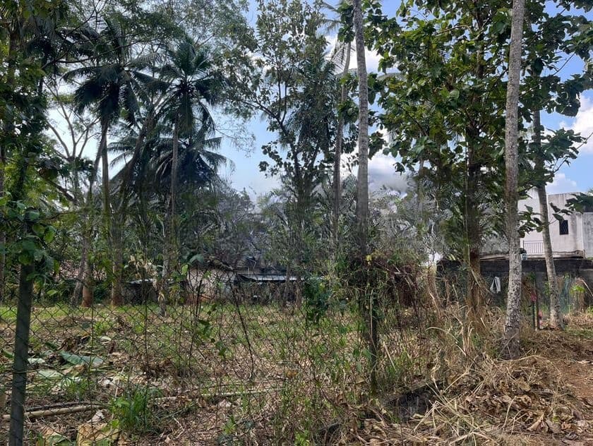 Minuwangoda - Divulapitiya Main Rd Prime 60.57 Perches of Land for Sale