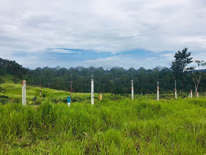 Lands for Sale in Pussellawa