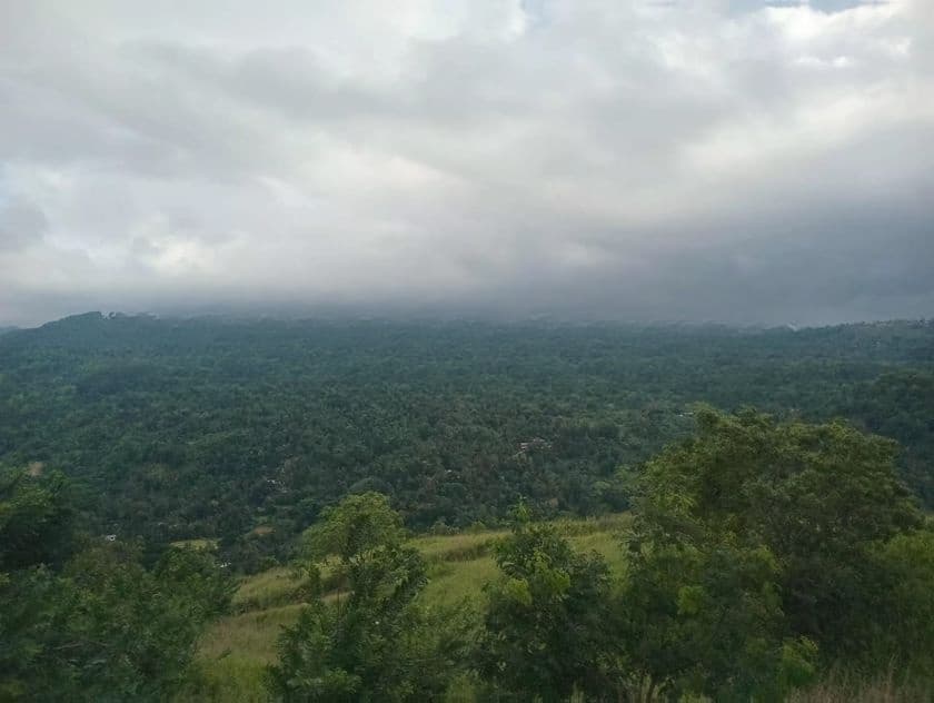 Land for Sale Galaha