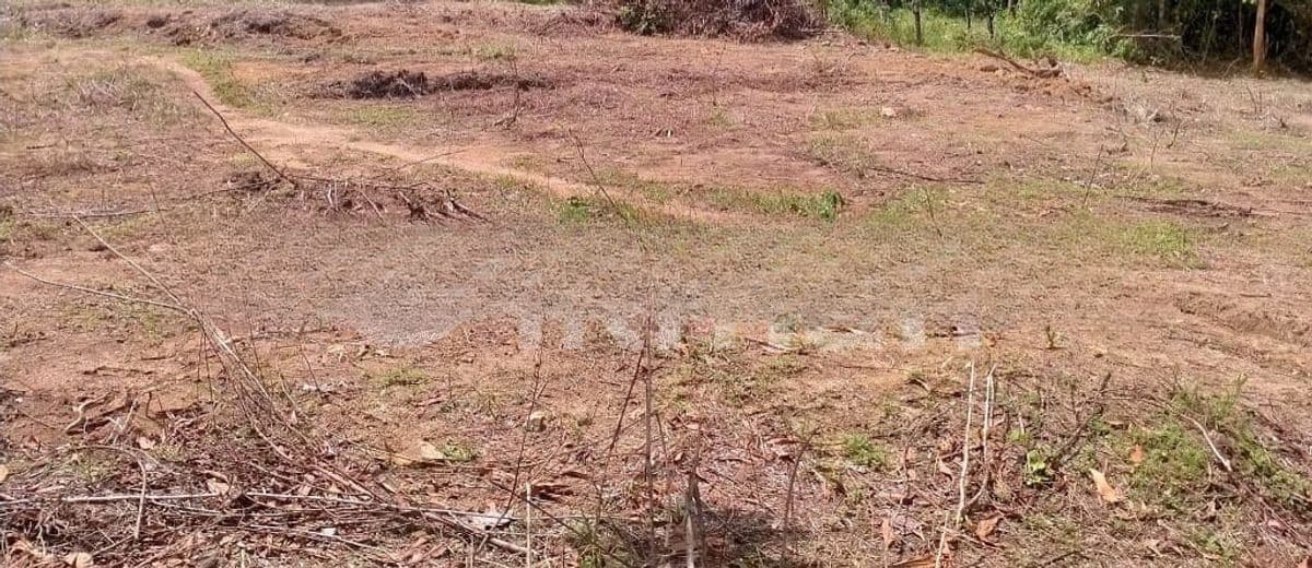 Colombo 7 : 6.2 Perch Land for Sale at off Boudhaloka Mawatha