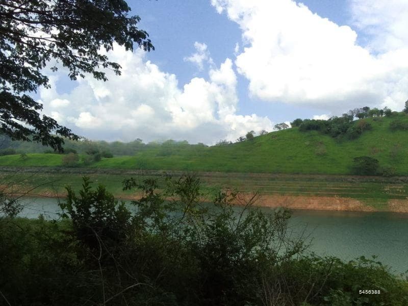 845 perches bare land for sale in Digana for Rs. 500 million (total value of land)