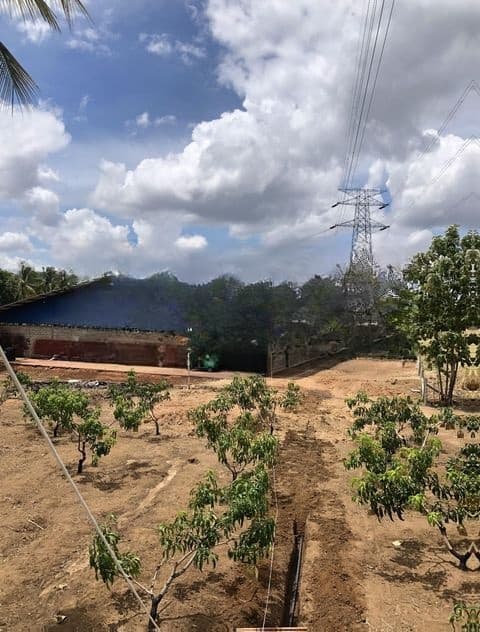 Agricultural Land With Warehouse For Sale In Melsiripiua - CL742