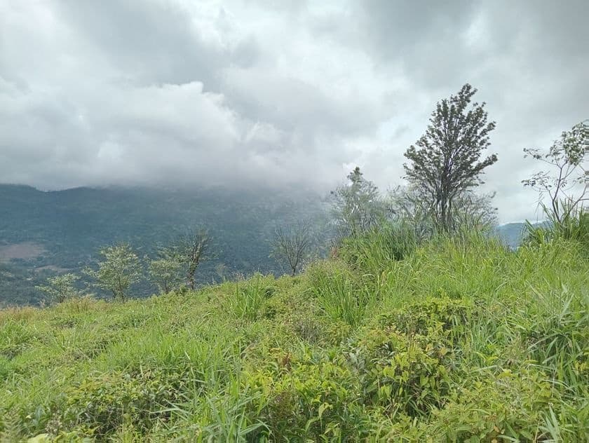 Valuable Land for Sale Peacock Estate Pussellawa