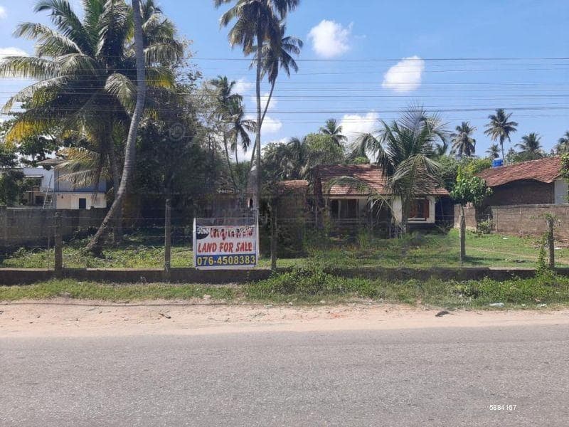 53.5 Perchers Commercial/ Residential Land For Sale In Negombo, Kochchikade Town Limits.