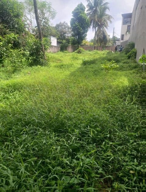 Land for Sale Thalahena
