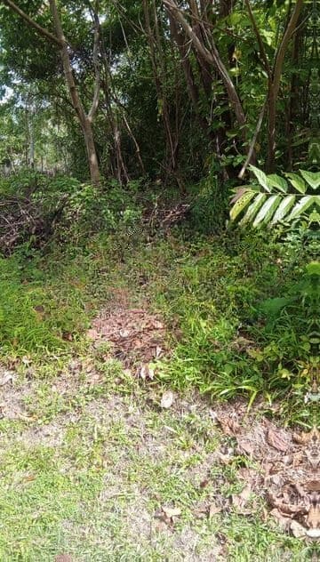 37.8 Perch Land for Sale Kandawala, Katana