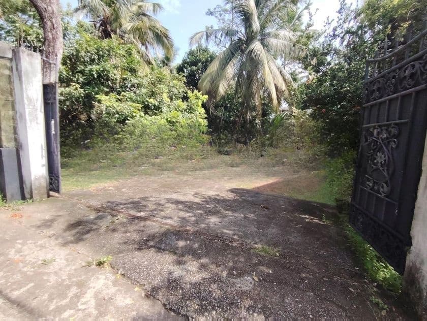 ඉඩමක් කොටිටාව නගරයට ආසන්නව