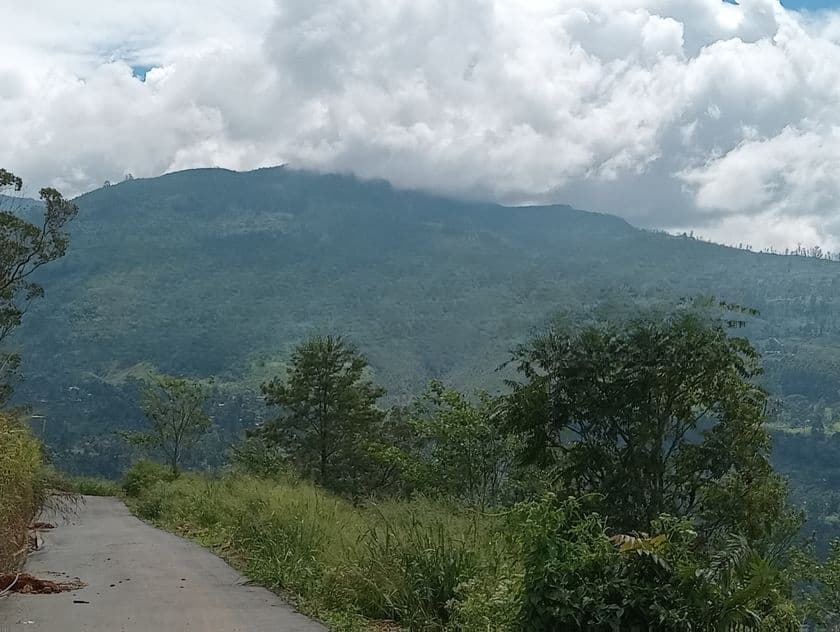 View Point Land for Sale Nuwara Eliya Pundaluoya