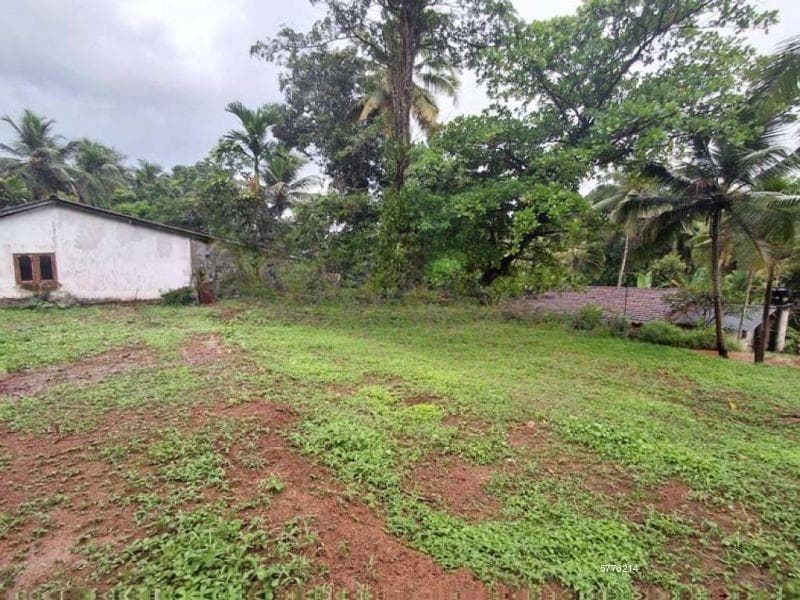 Residential Land Blocks for Sale in Uruwala, Weliveriya.