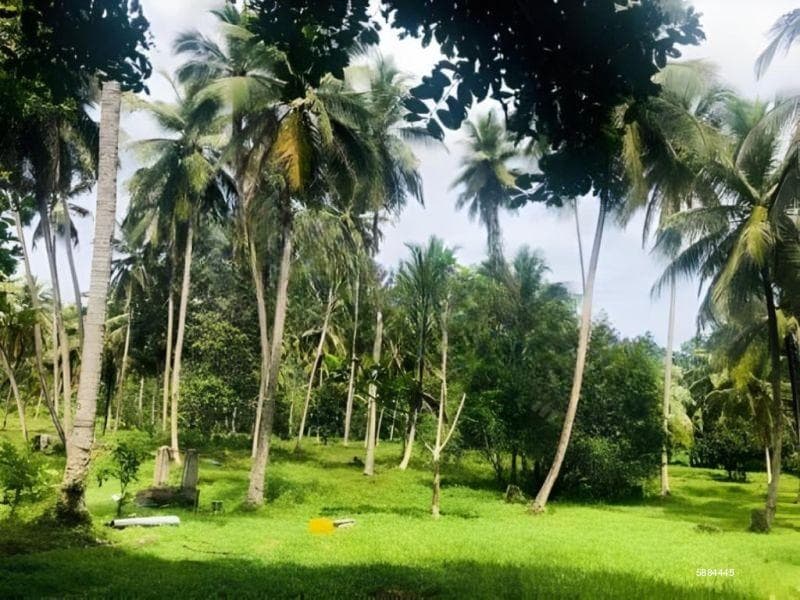 Estate for Sale in Kurunegala