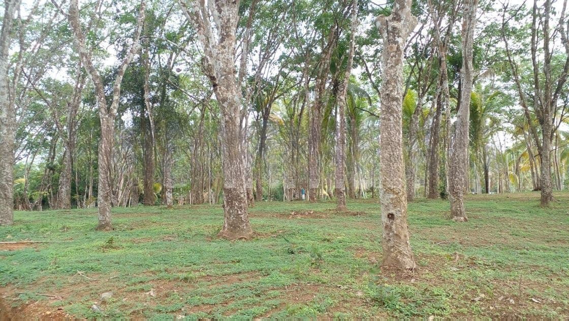 Land Plots for Sale in Ahangama
