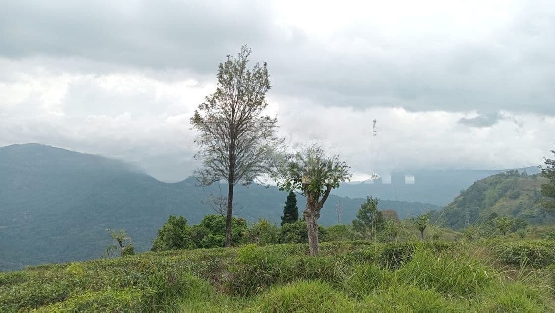 Land for Sale Nuwara Eliya Road