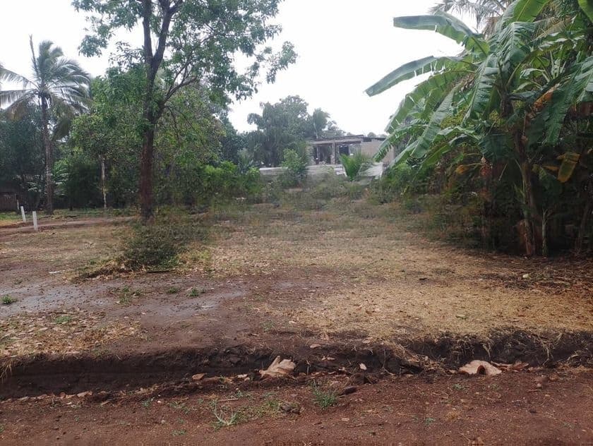සින්නක්කර ඉඩමක් අනුරාධපුර නගරයට ලගින්ම