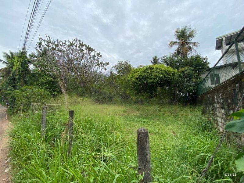 ■ Large Bareland ■ Gampaha Town ■ For Sale ■ (NK10488)