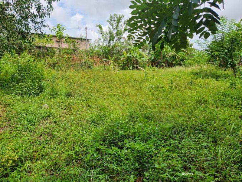 10.50 Perches Land for Sale – Thalawathugoda