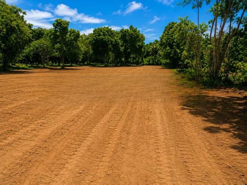 ගම්පහ උඩුගම්පොළ පදිංචියට හොඳ ඉඩමක් විකිණීමට