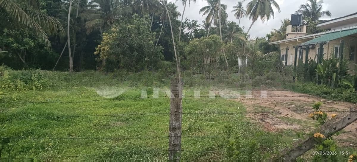 92 perches Land for sale in Thibirigaskatuwa, Negombo.Gampaha