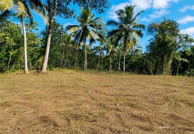 164 Perches of Valuable Land for Immediate Sale in Pannala. පන්නල පර්චස් 164ක වටිනා සහ මනාව පිහිටි ඉඩමක් වහාම විකිණීමට