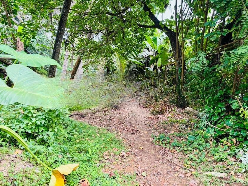 අහංගම කන්දේ පිහිටි සුවිශේෂී ඉඩමක් විකිණීමට