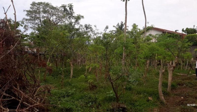 Kalubowila 30+ Perches of Land for Sale
