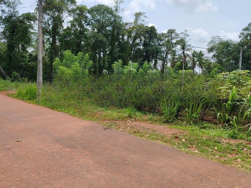 Land in Gamapaha Plot 01
