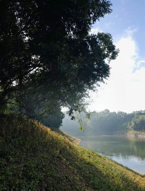 40P Land Overlooking the Victoria Reservoir in Teldeniya (SL 14432)