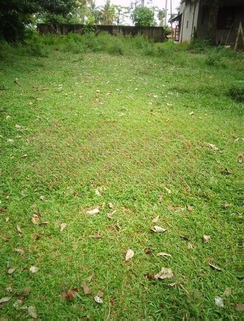 Bare Land For Sale in Duplication Road Colombo 4