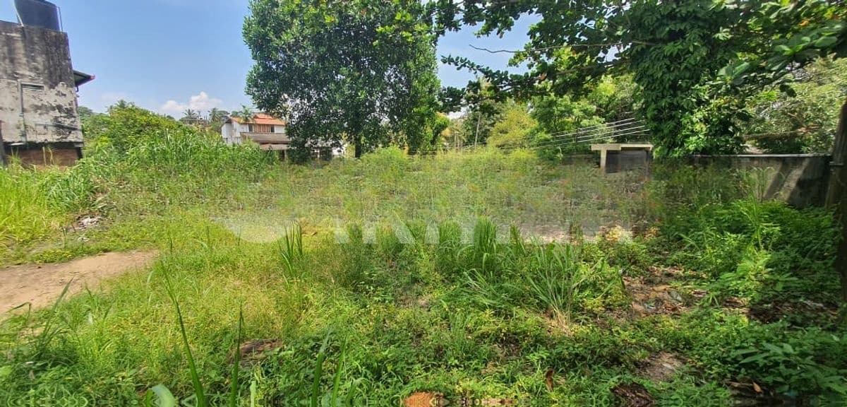 16.44P - Residential Land in Sama Compound Pelawatta | SL14703