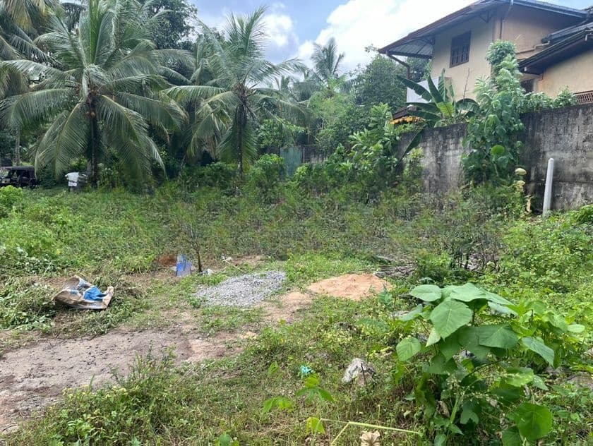 Valuable Land for Sale Galwarusawa