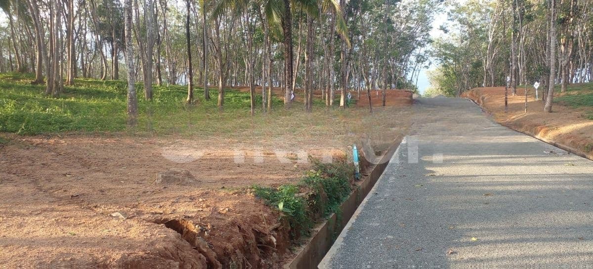 අහංගම සංචාරක කලාපයෙන් බිම් කොටස් විකිණීමට