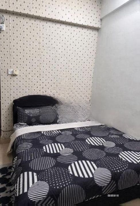 Apartment For Rent In Colombo 2 (file No - 4951a)