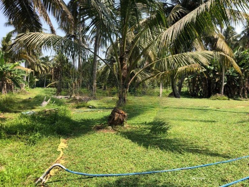 Land for sale in wattala inland - Code add 495