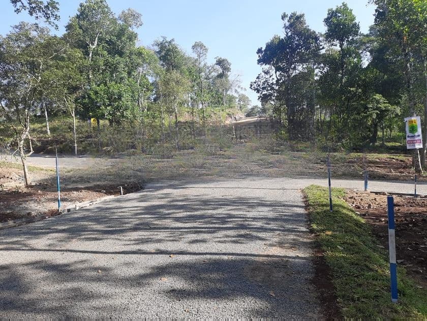 Land for Sale in Sinhargama