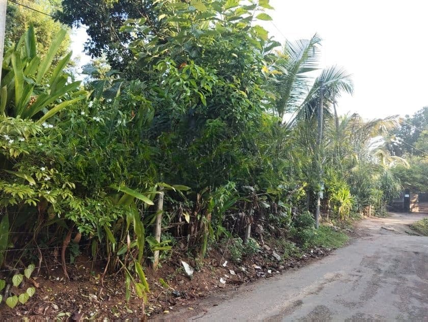 Land For Sale in Balapitiya (SSPL-456)