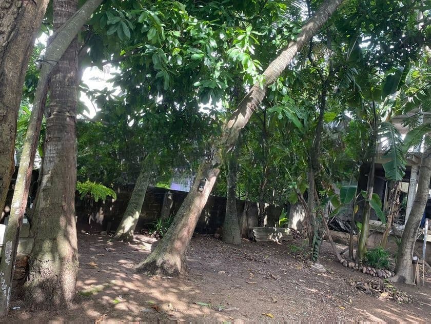 Colombo 5 : 22.8 perches Land for Sale