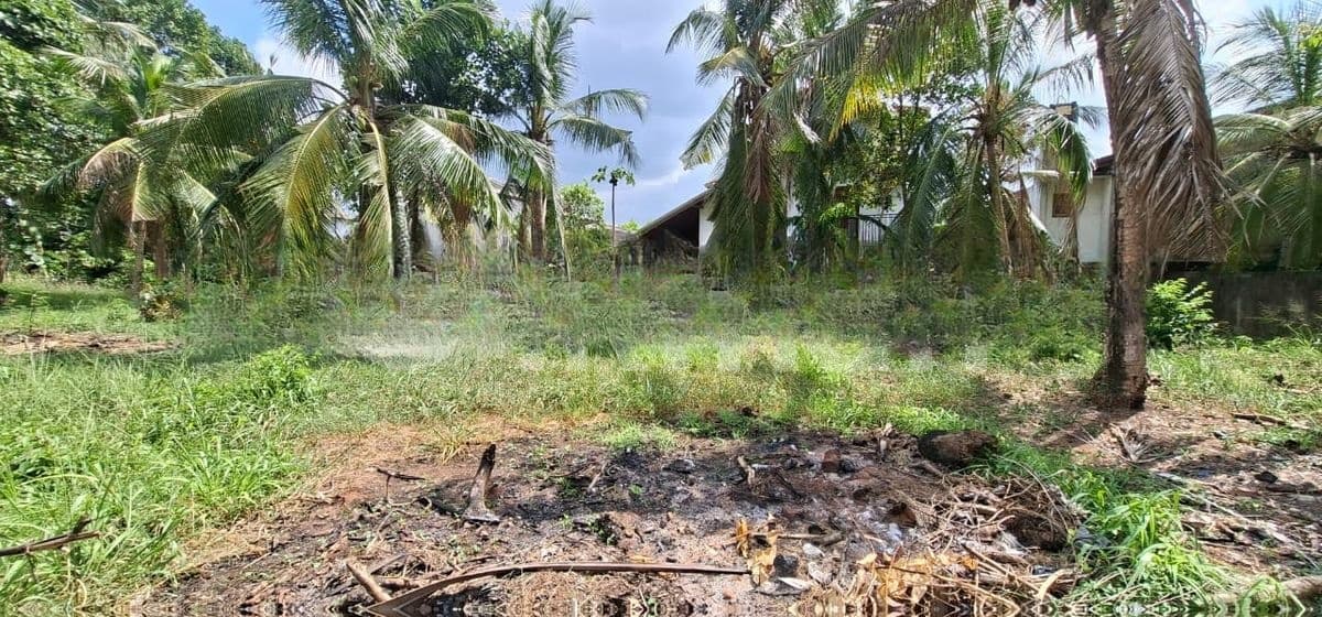 Land for Sale Boralesgamuwa