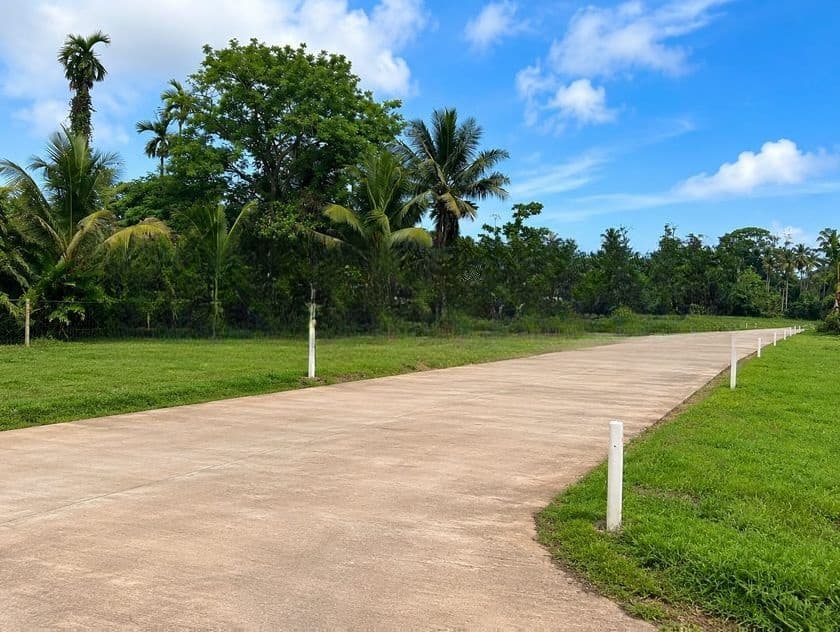 පිළියන්දල කහ තුඩුව අගනා බිම් කොටස්