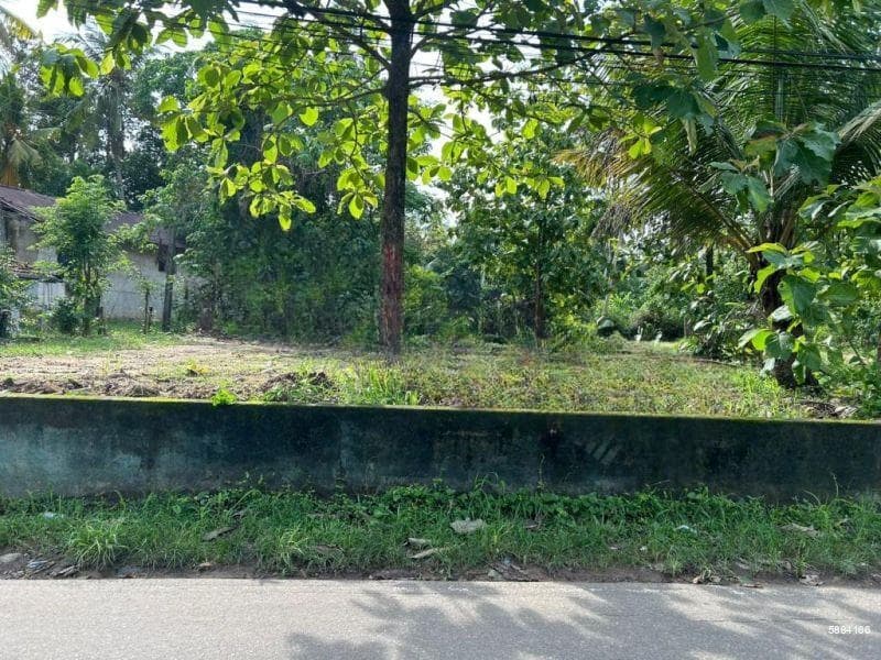 40 Perchers Commercial/ Residential Land For Sale In Negombo, Katana ( Duriyangas Junction)
