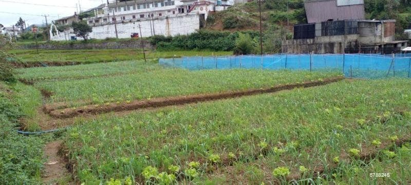 ▪️Nuwara Eliya Land▪️For Sale▪️ Magasthota▪️(NK106642)
